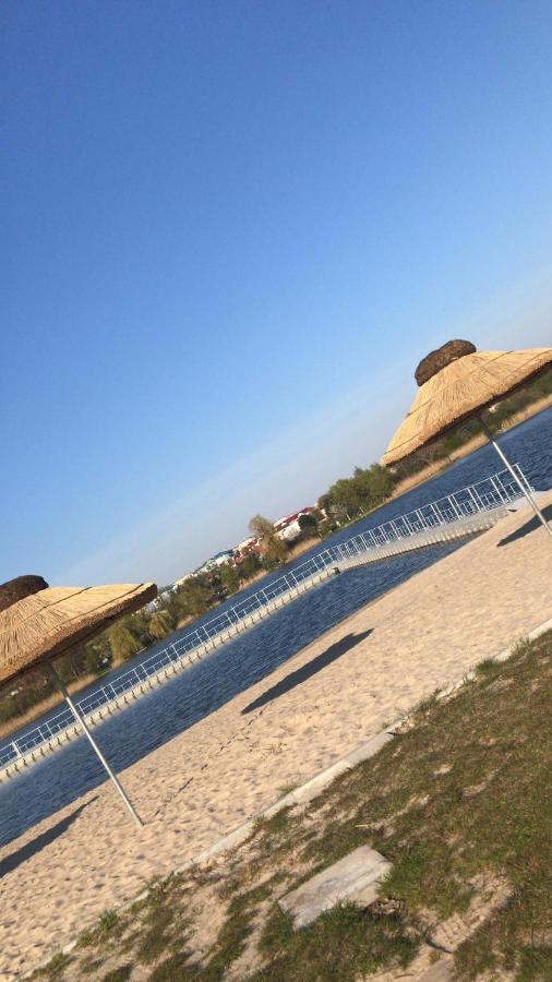 Camping Oaza Blonie Kornik Domki Standard - 3 Pokoje Esterno foto